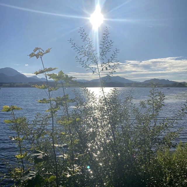 Hopfensee im Allgäu